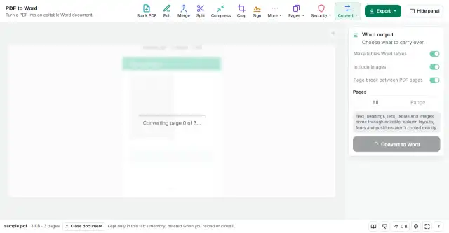 Convert to Word